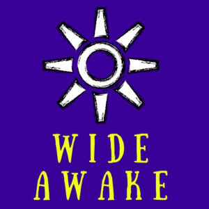 Wide Awake Teens